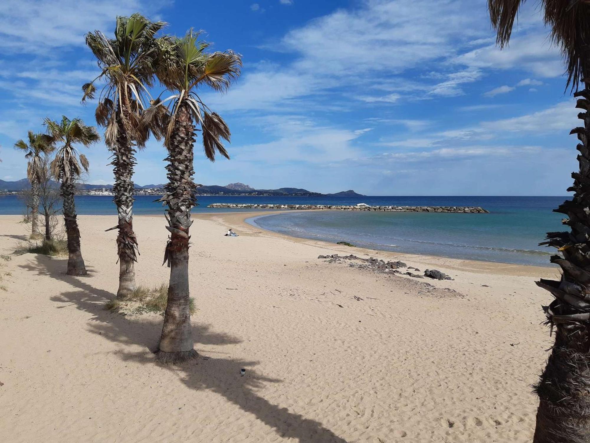 Cosy Avec Terrasse, Clim, A 50m Et 100m Commerces, - Fr-1-226a-177 Fréjus